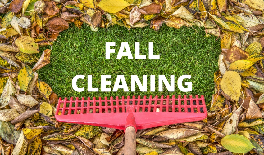 Fall Cleaning